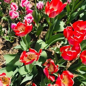 Meet your Posher, Hello!